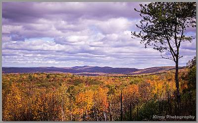 Kirms Photography Sunrisr Mtn-Stokes St Forest-3